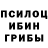 Псилоцибиновые грибы GOLDEN TEACHER Andrei Sopon