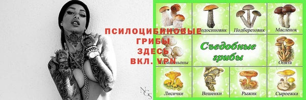 Альфа ПВП Балахна