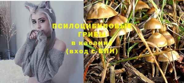 бошки Баксан